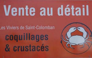 Compétition les viviers de Saint colomban 2020