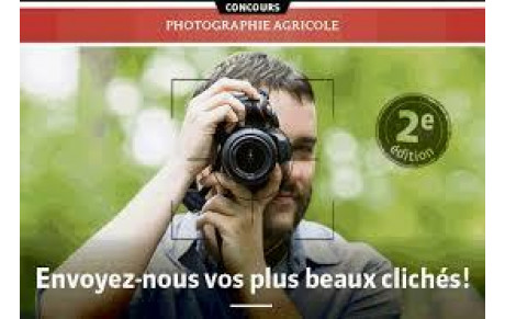 Concours photos le 7 Avril