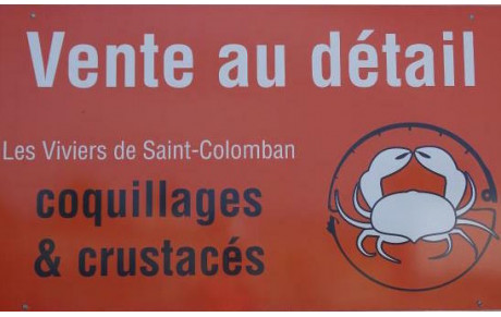 Compétition les viviers de Saint colomban 2020