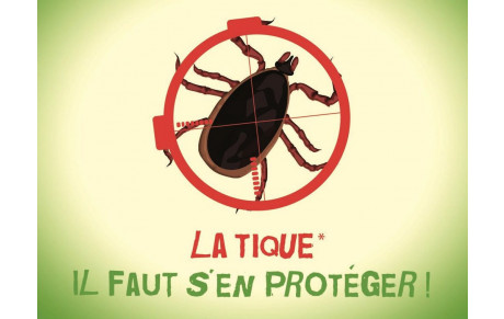 retour des tiques